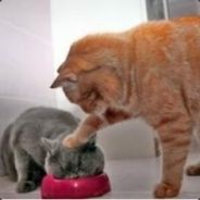 韭菜饺子+烤椰肉酥热辣脆皮鸡