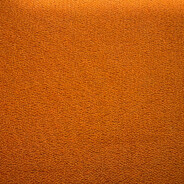 二次元是我的家人