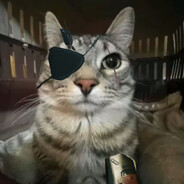 The Cat who sold the world