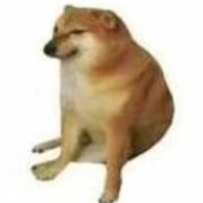 抵制scw从你他做起