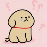 仔仔是个小趴菜