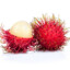 RAMBUTAN