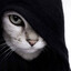 austrian artist☂