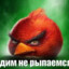 сидим не рыпаемся
