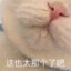 等闲识得东风面