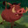 Pumba