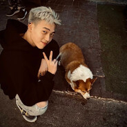 海鸥不再眷念大海