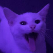 _ℳ𝓎𝒶𝓈𝒽𝒽𝑒ツ_