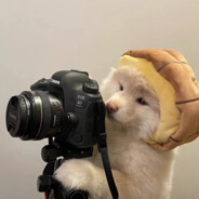 不会真有人没男朋友吧