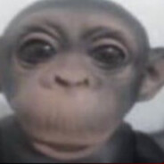 oneT4PPER_ZERKJe S2