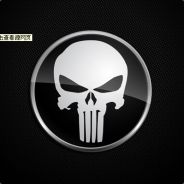 The punisher丶乌鸦