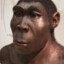 Homo Erectus