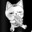 pocketghost