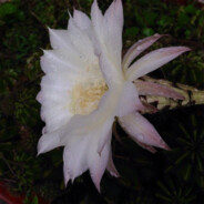 我椅子在这里等砸你