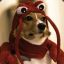 LobsterDog