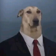 bobik's avatar