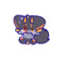 rebornawa