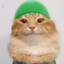 Meowslim