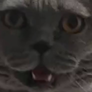 barto avatar