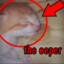 The eeper