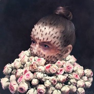 蝎