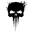 The Punisher