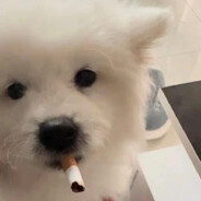 玩家头像