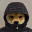 =)Hecttor