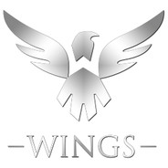 wings的invoker本人