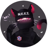 N.E.E.T.