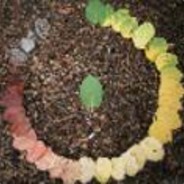 Prison Break: Sequel Season 1