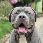 ☣Harnasiekk - steam id 76561198166886031