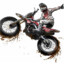 Rider
