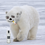 Der Eisbär