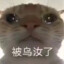 黎明