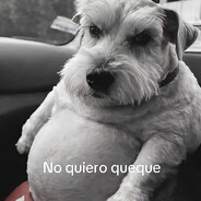 QUIERO QUEQUE?