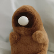 从今天开始养猪