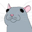 Rat