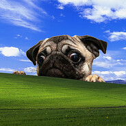 FaZe_Your_Dog