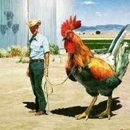 George The Cock