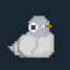 Coo_0v0