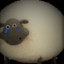 BigSadSheep