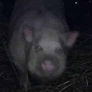 ПЕПСІКОЛЬНИЙ