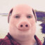 John Pork