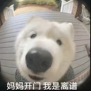 嫂子我哥睡了没