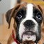 JACK