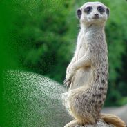 Fladdy - steam id 76561197961467693