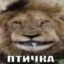 しずかながさき