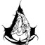 Altair