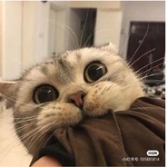 涩会主义大机枪